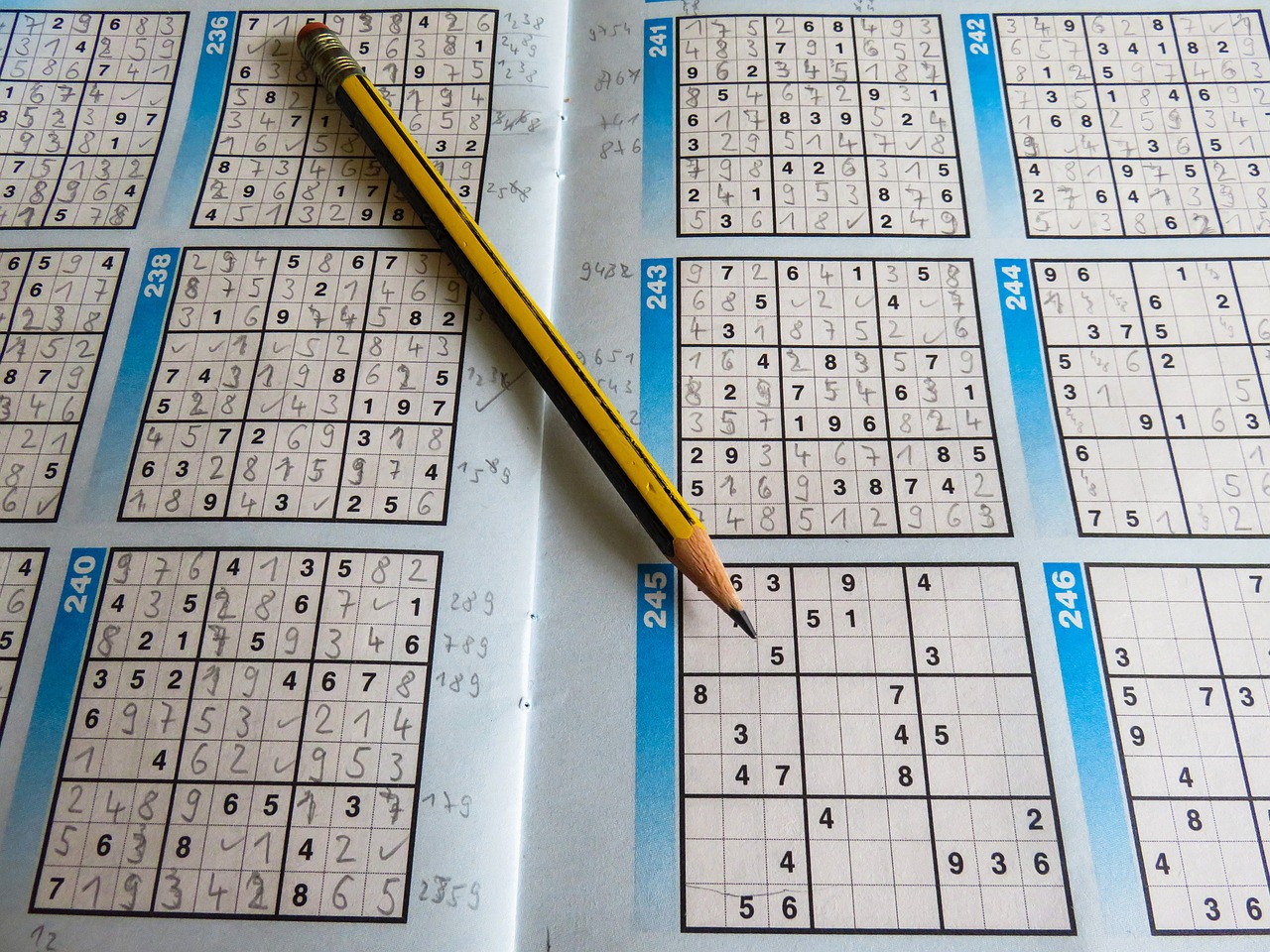 奥门开奖结果+开奖记录2024年资料网站，实时处理解答计划，贴心版VE8757.9282