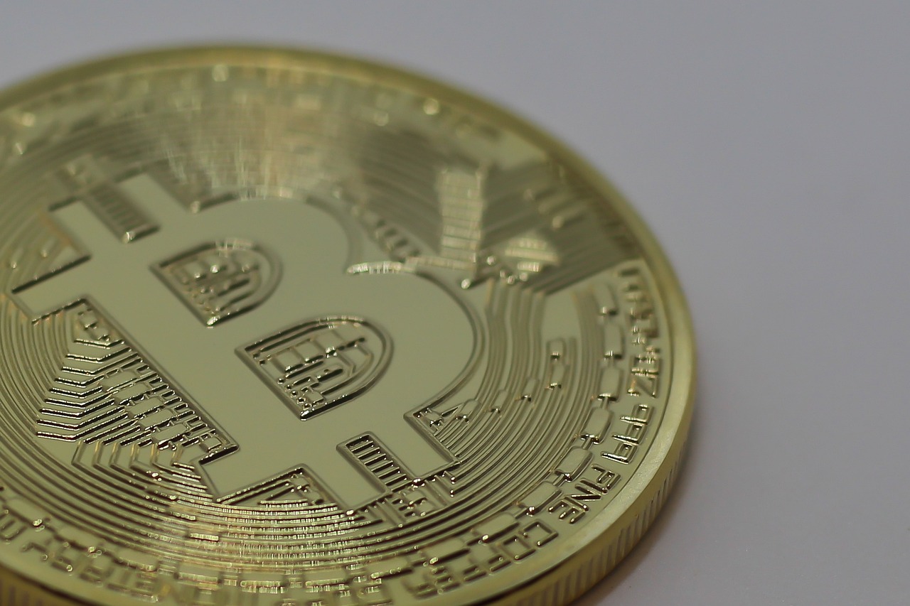 玉米价格最新动态分析与趋势预测