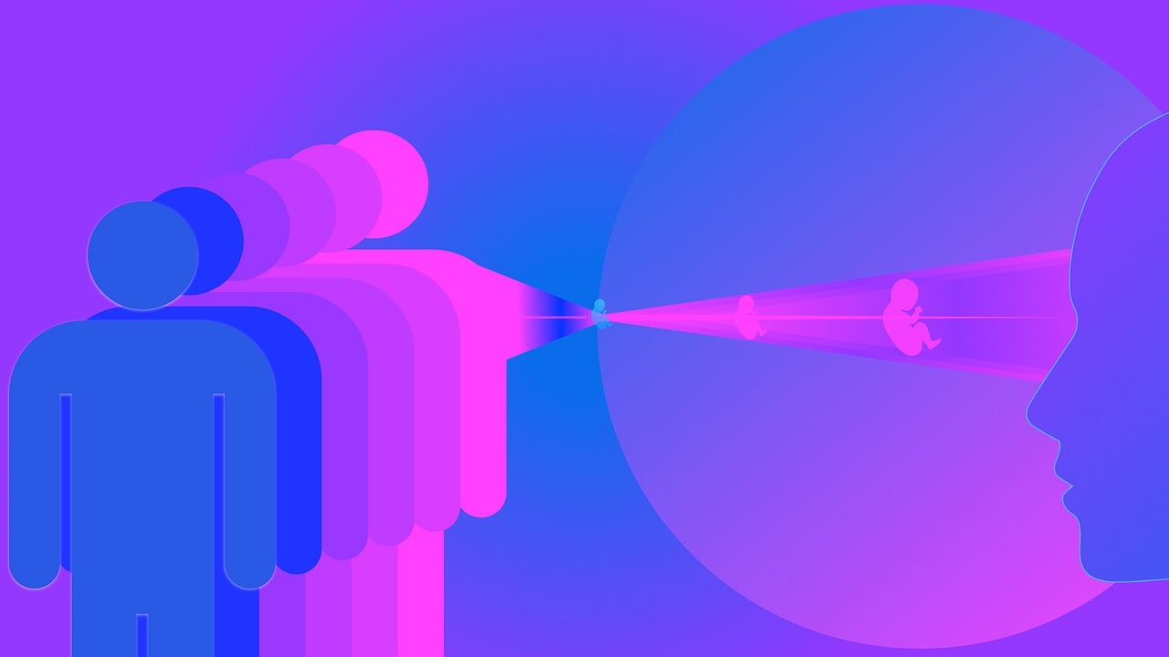 明星合成网站，虚拟与现实的交汇探索